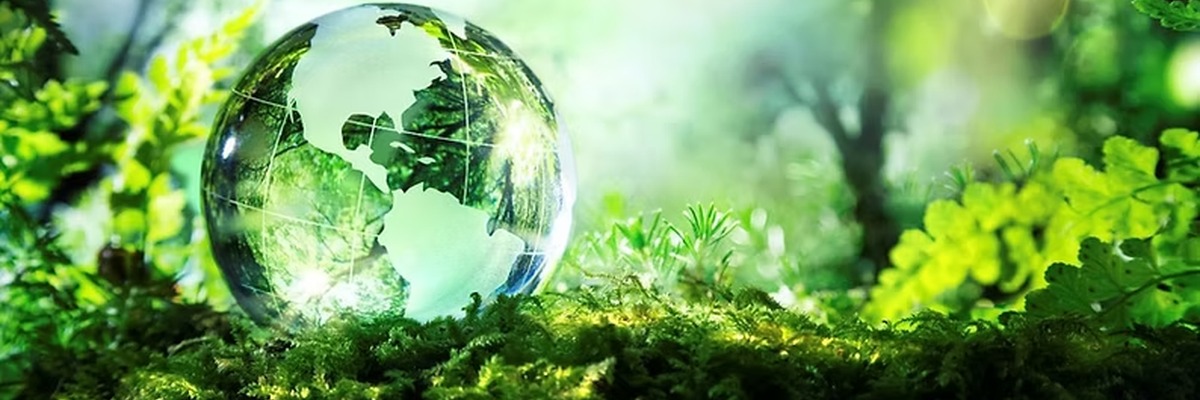 ISO 14001:2015 İç Denetçi Eğitimi 